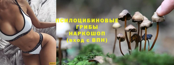ПСИЛОЦИБИНОВЫЕ ГРИБЫ Бугульма